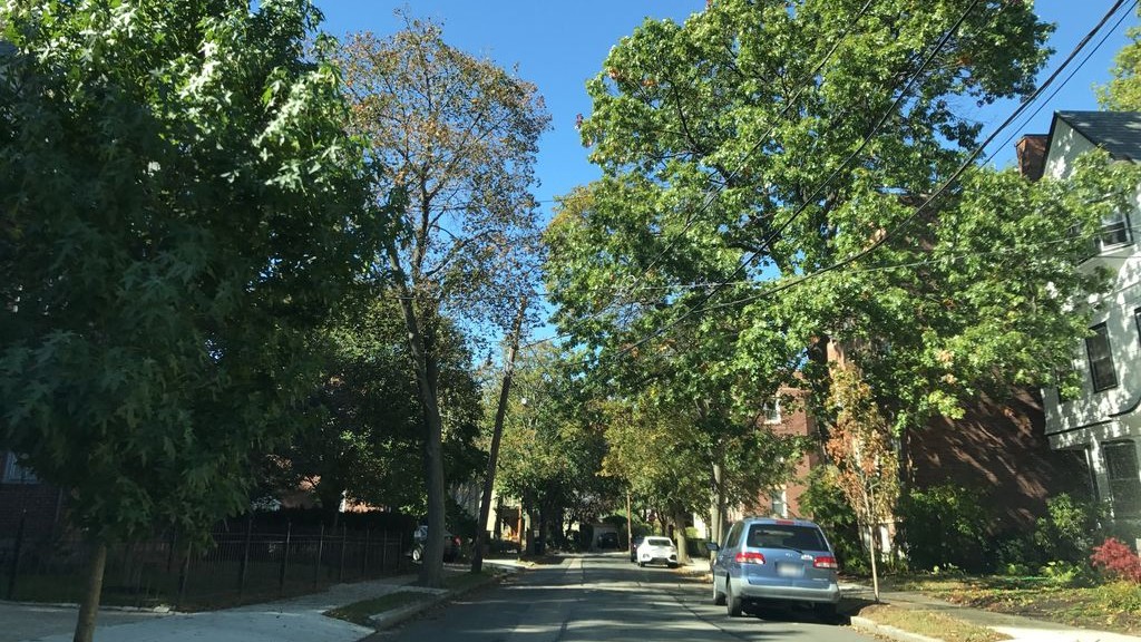 Street-level daytime example from Brookline Longwood Fenway, cropped to show the local street context.