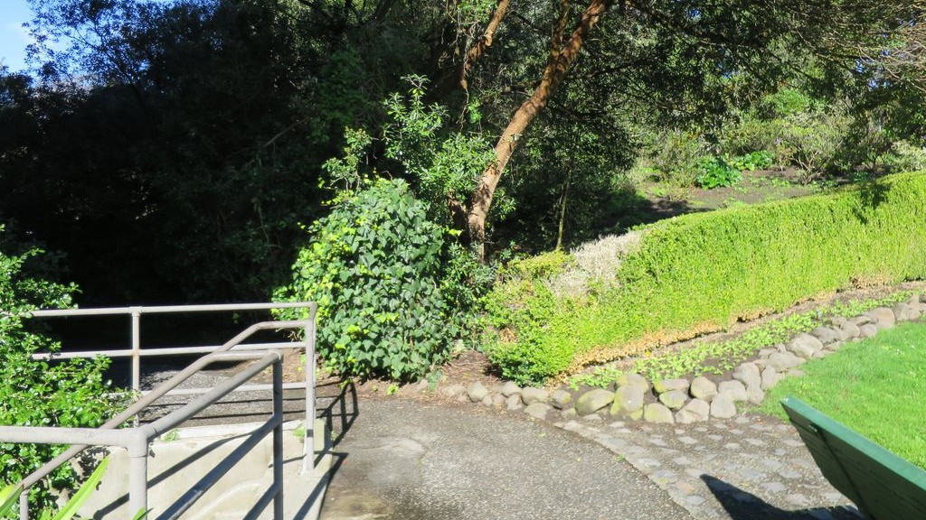 Street-level daytime example from Golden Gate Park Sf, cropped to show the local street context.
