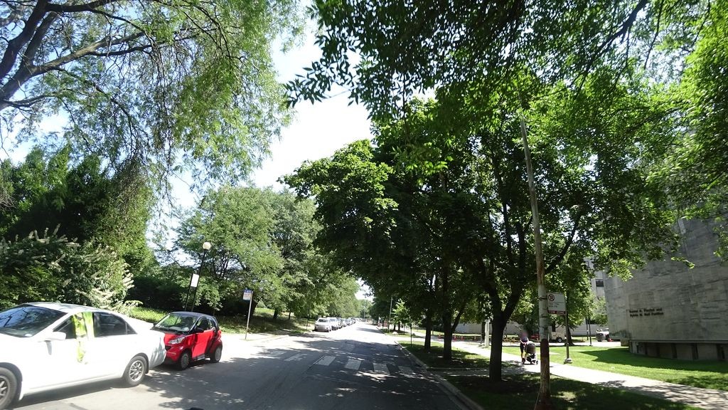 Street-level daytime example from Hyde Park South Side Chicago, cropped to show the local street context.