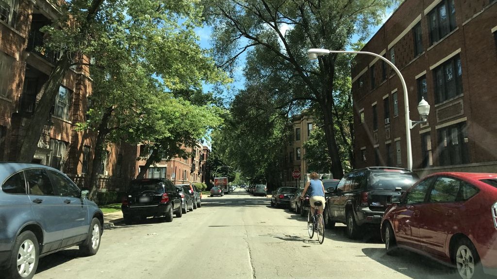 Street-level daytime example from Hyde Park South Side Chicago, cropped to show the local street context.