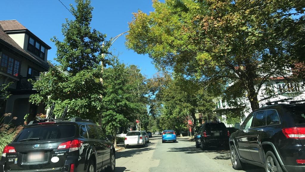 Street-level daytime example from Jamaica Plain Emerald Necklace, cropped to show the local street context.