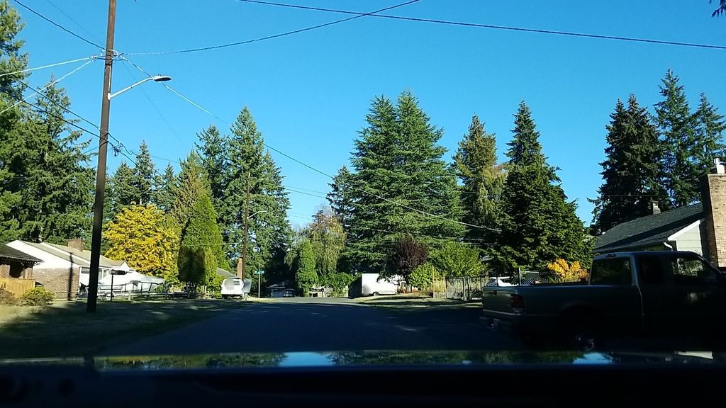 Street-level daytime example from North Seattle, cropped to show the local street context.