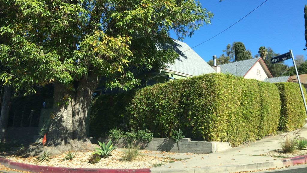 Street-level daytime example from Silver Lake Echo Park La, cropped to show the local street context.