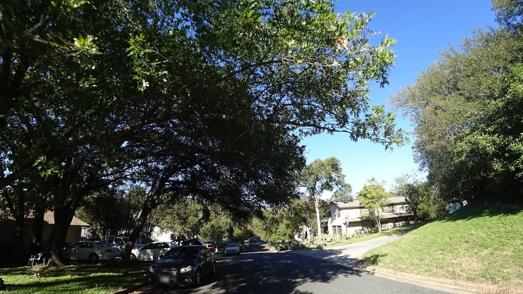 Street-level daytime example from South Congress Austin, cropped to show the local street context.
